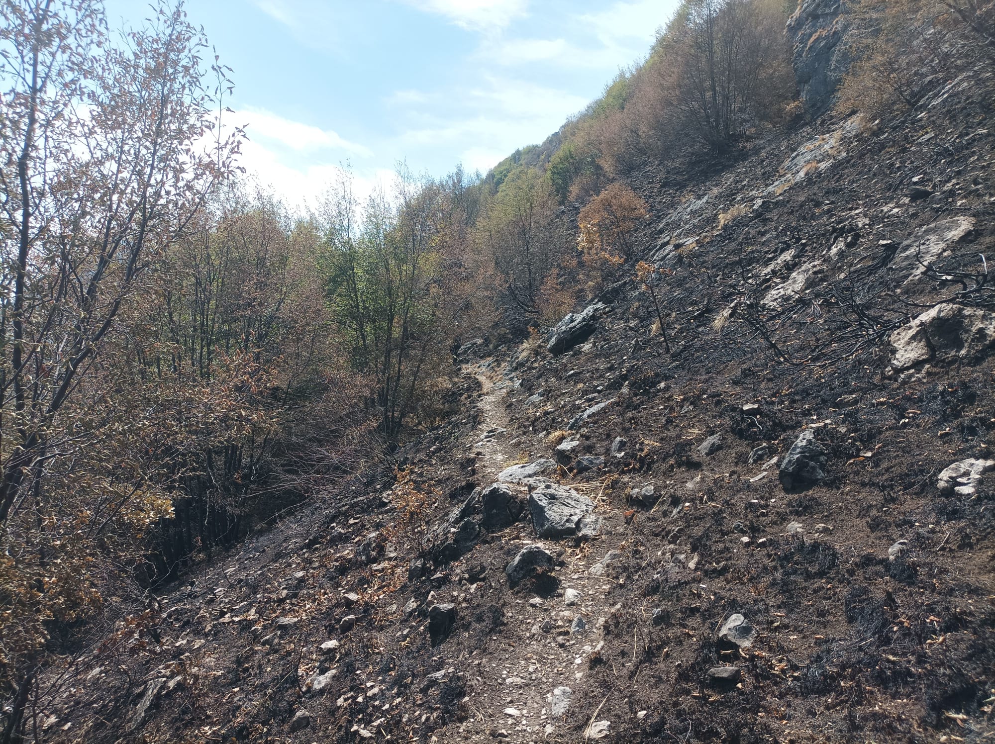 INCENDIO DEL MOREGALLO, LA TRAGEDIA E’ UFFICIALMENTE FINITA