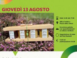 8557_Resinelli_anello_Campelli_miele_Locandina