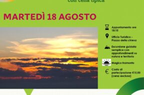 8560_Parco_Valentino_tramonto_locandina