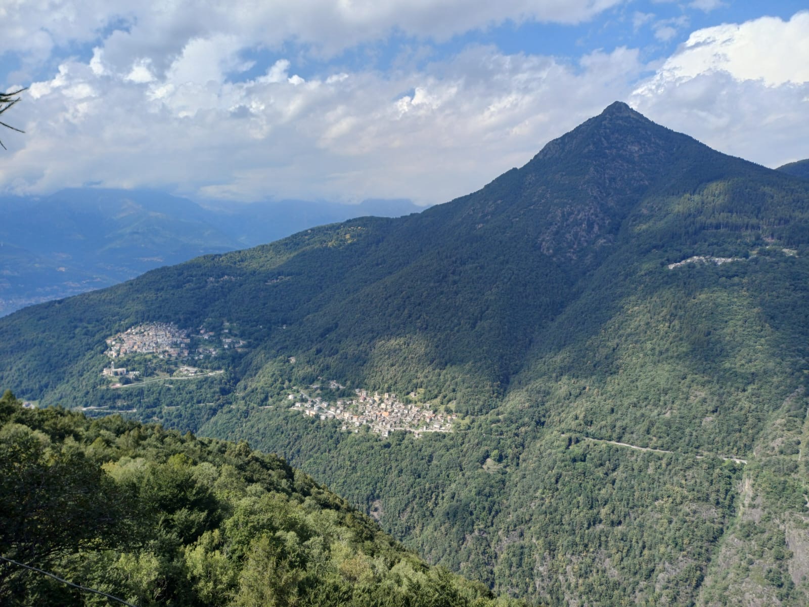 SICUREZZA DEI BOSCHI E CAMBIAMENTO CLIMATICO: AL VIA I SOPRALLUOGHI DEL PROGETTO MAPFOR