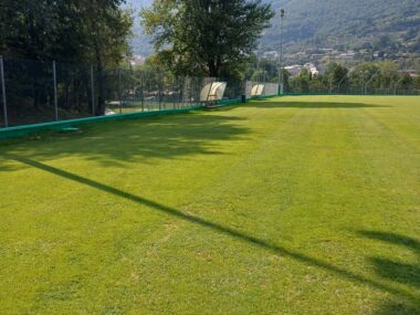campo 2_2