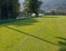 campo 2_2