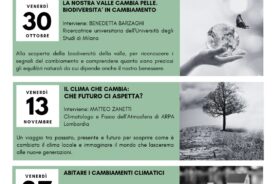 2026 AMBIENTE locandina