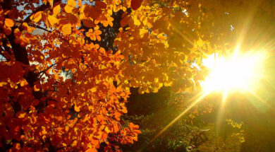 sole autunno-2