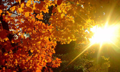 sole autunno-2